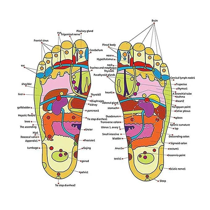 Acupressure Pain Relief Slippers For Men and Women