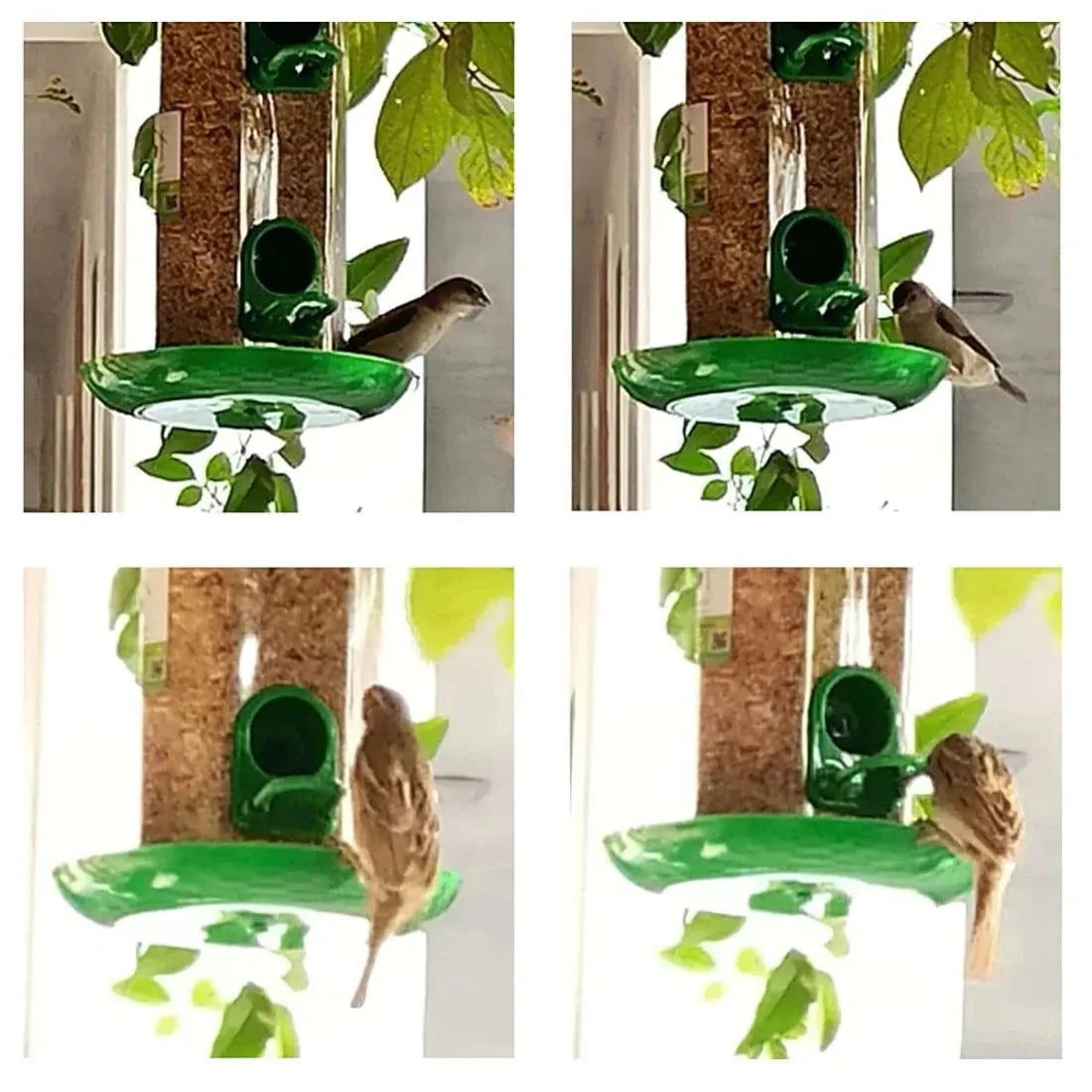 TweetTreate™️ Bird feeder